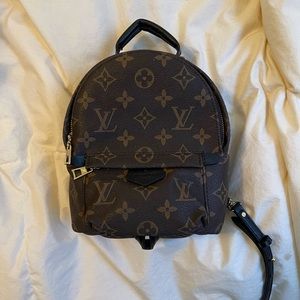 Louis Vuitton Palm Springs Mini Backpack